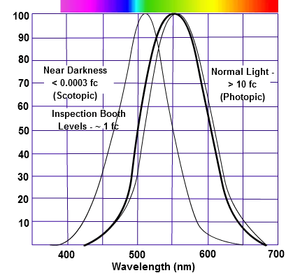 A graph comparing the eye's scotopic (rod) and photopic (cone) sensitivity curves against wavelength, showing the rod curve shifted about 80nm toward blue relative to the cone curve