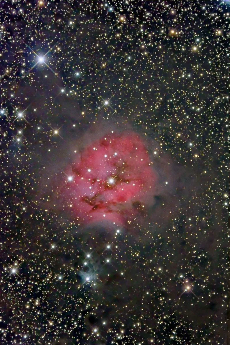 The Cocoon Nebula
