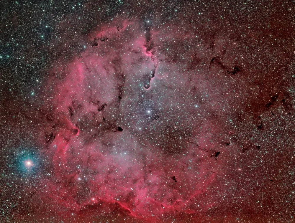 IC 1396 in Cepheus