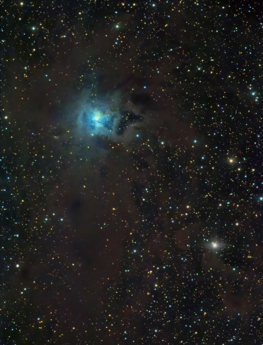 The Iris Nebula