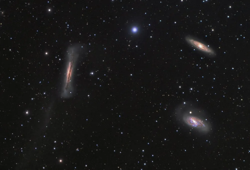 The Leo Trio