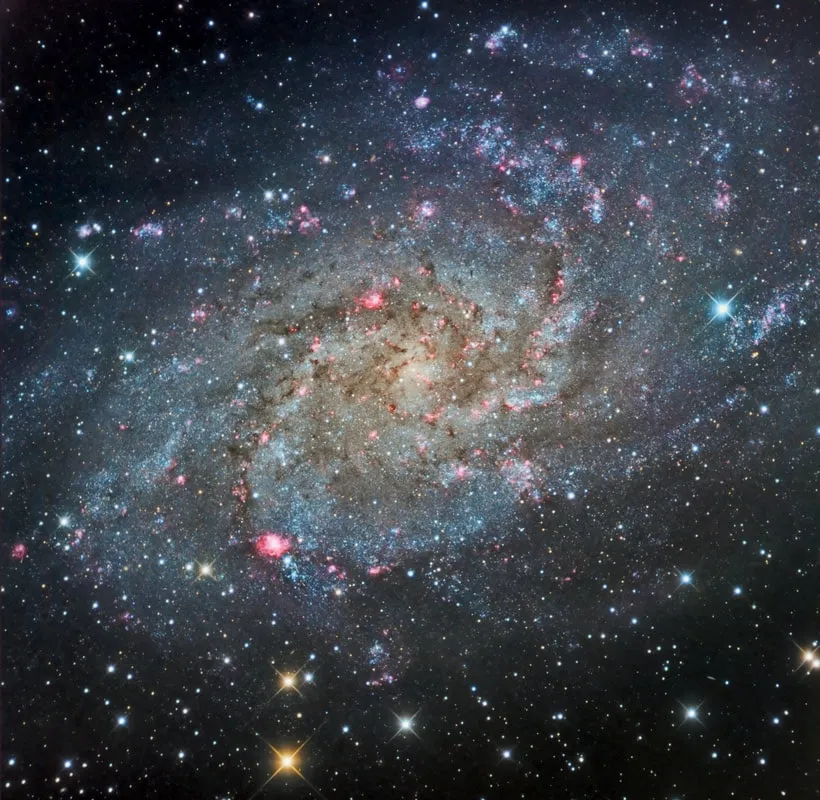 Jay's astrophoto of M33, the Triangulum Galaxy, showing pink hydrogen-alpha emission nebulae scattered through its blue spiral arms