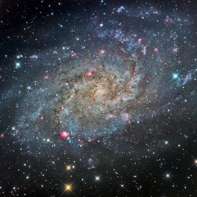 M33 - The Pinwheel Galaxy in Triangulum