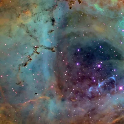 NGC 2244 - The Rosette Nebula (Hubble Colors)