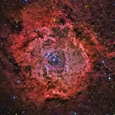 NGC 2244 - The Rosette Nebula (2004)