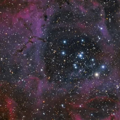NGC 2244 - The Rosette Nebula (6" Refractor Shoot-out)