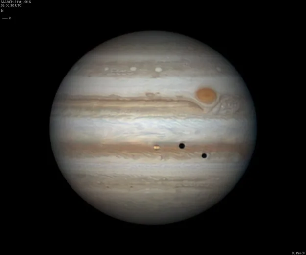 Jupiter, credit Damian Peach, 2016
