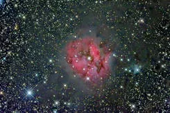 Cocoon Nebula, wider crop